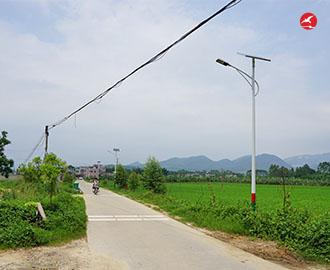 新农村太阳能路灯 正翔2110应用图1