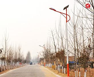 新农村太阳能路灯 正翔2110应用图2