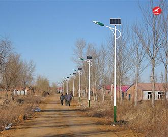 新农村太阳能路灯 正翔2110应用图3
