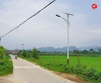 新农村太阳能路灯 正翔2110应用图1