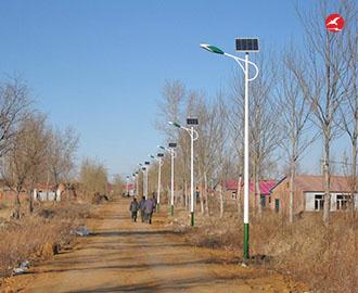 新农村太阳能路灯 正翔2110应用图2