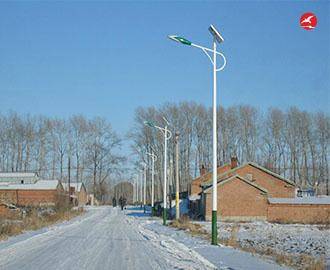 新农村太阳能路灯 正翔2110应用图3