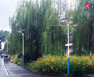 太阳能一体化路灯 正翔2217应用图2