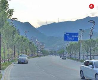 LED路灯 正翔2407应用图3