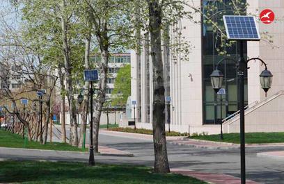 太阳能庭院灯 正翔3009应用图4