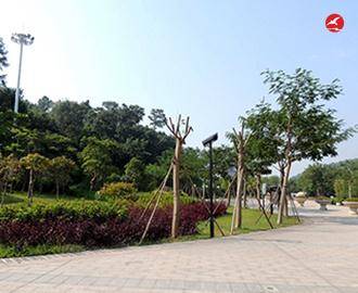 太阳能庭院灯 正翔3010应用图3