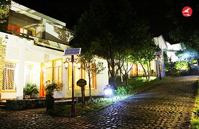 LED庭院灯 正翔3114应用图3
