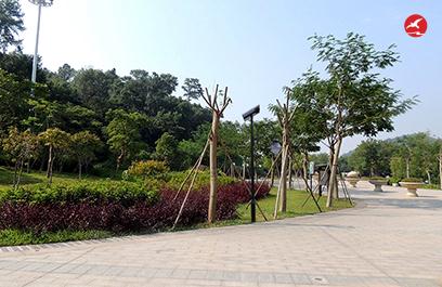 LED庭院灯 正翔3114应用图4