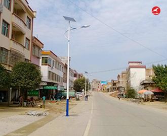 新农村太阳能路灯 正翔2112应用图