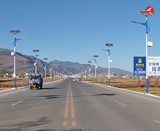 新农村太阳能路灯 正翔2112应用图2