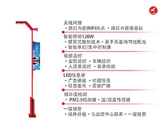 LED智慧路灯 正翔5401应用图1