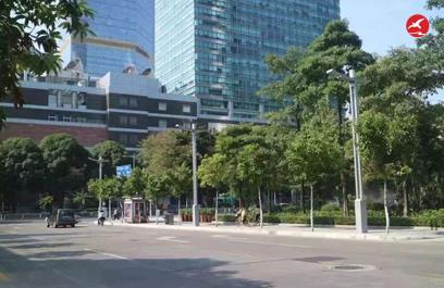 LED智慧路灯 正翔5402应用图3