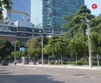 LED智慧路灯ZX5402应用图3