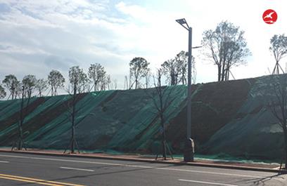 LED智慧路灯ZX5404应用图2