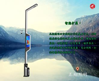 LED智慧路灯ZX5403应用图1