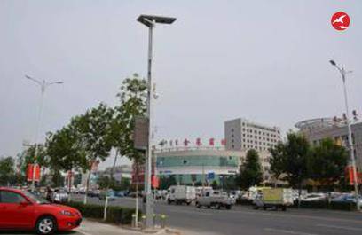 LED智慧路灯ZX5405应用图3
