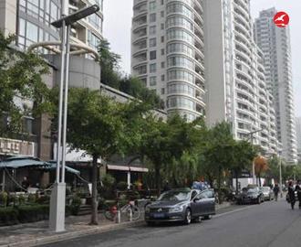 LED智慧路灯ZX5405应用图2