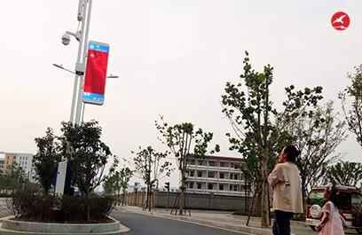 LED智慧路灯ZX5407应用图2