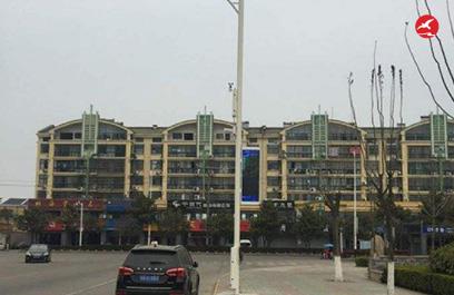 LED智慧路灯ZX5407应用图3