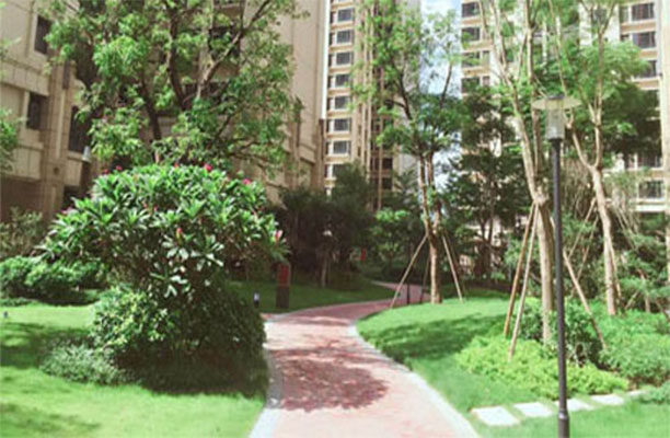 正翔小区照明项目走进深圳市南山区蛇口新区